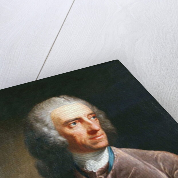 Portrait of Stephen Martin Leake 1755 by Robert Edge Pine