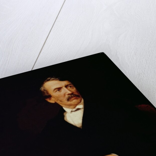 Portrait of Livingstone by Frederick Havill