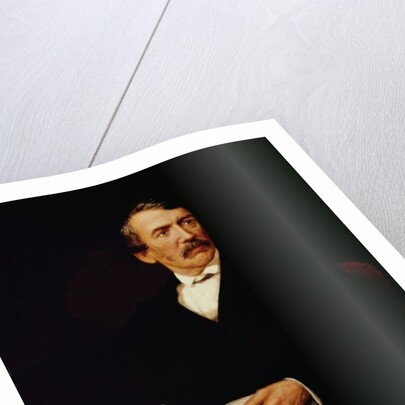 Portrait of Livingstone by Frederick Havill