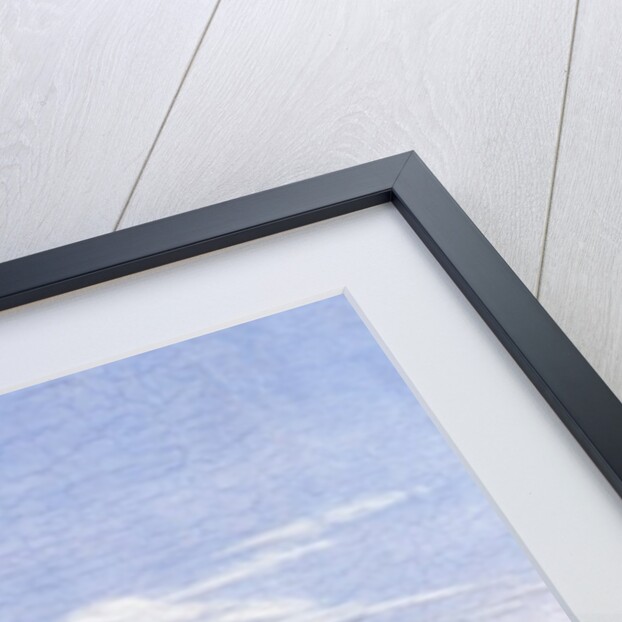 Baptism of Christ, 1450s by Piero della Francesca