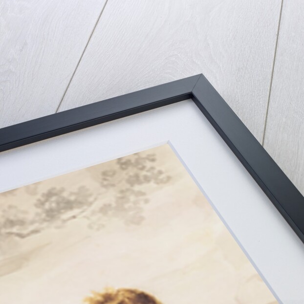 Portrait of Henry John Temple 3rd Viscount Palmerston, 1802 by Thomas Heaphy