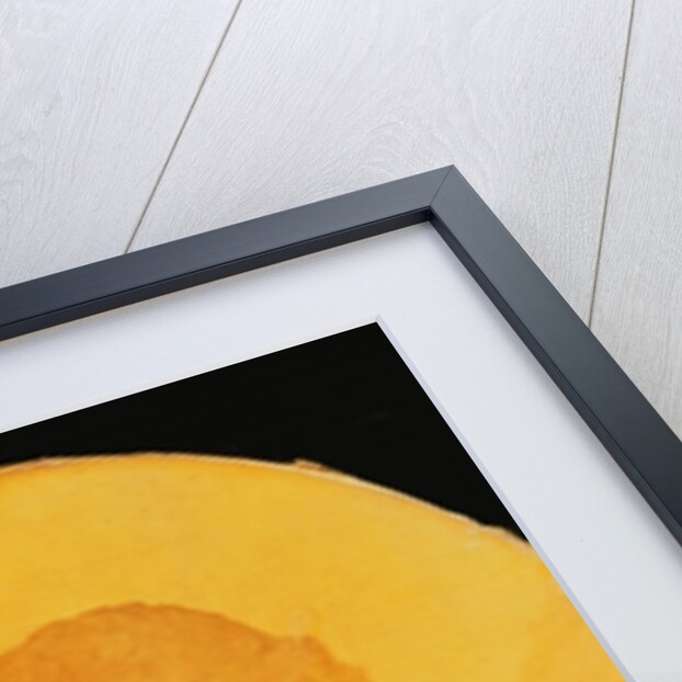 Portrait of Samuel Johnson c.1778-80 by James Barry