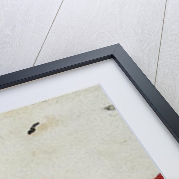 Garopa by John White