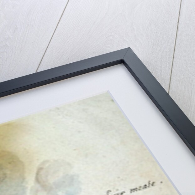 Cooking in a Pot by John White