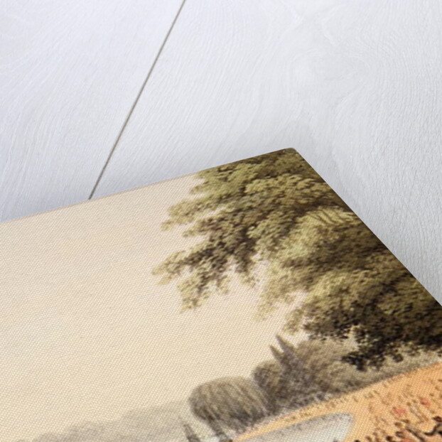 The Fleet on the Serpentine River by John Heaviside Clark