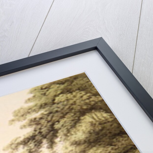 The Fleet on the Serpentine River by John Heaviside Clark