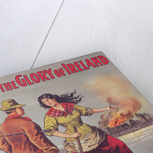 For the Glory of Ireland, 1866 by Irish School