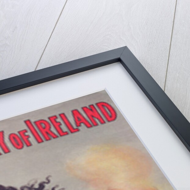 For the Glory of Ireland, 1866 by Irish School