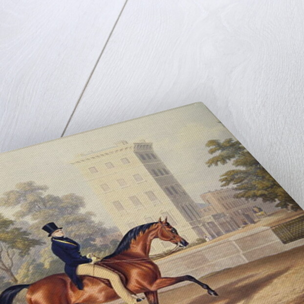 The Marquis of Anglesea on Horseback in Hyde Park, in his 80th year by George Henry Laporte