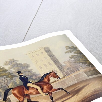 The Marquis of Anglesea on Horseback in Hyde Park, in his 80th year by George Henry Laporte