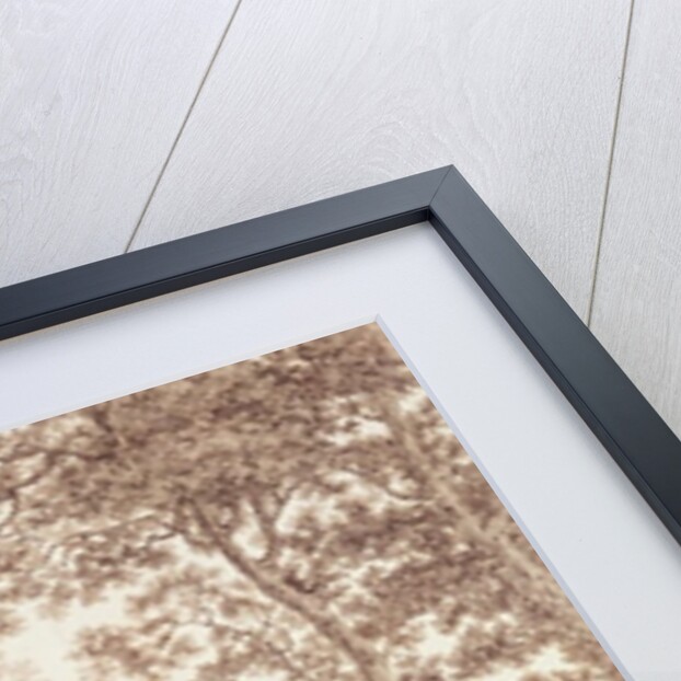 The Exterior of the Prince of Wales's Conservatory at Carlton House, 1811 by English School