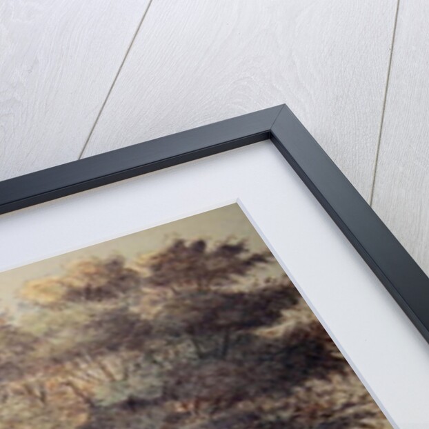 The Old Cheesecake House, north of the Serpentine, 1786 by John White