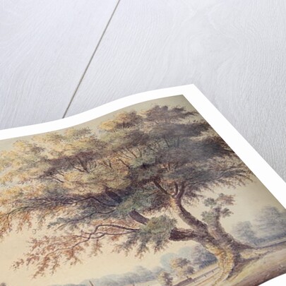 The Old Cheesecake House, north of the Serpentine, 1786 by John White