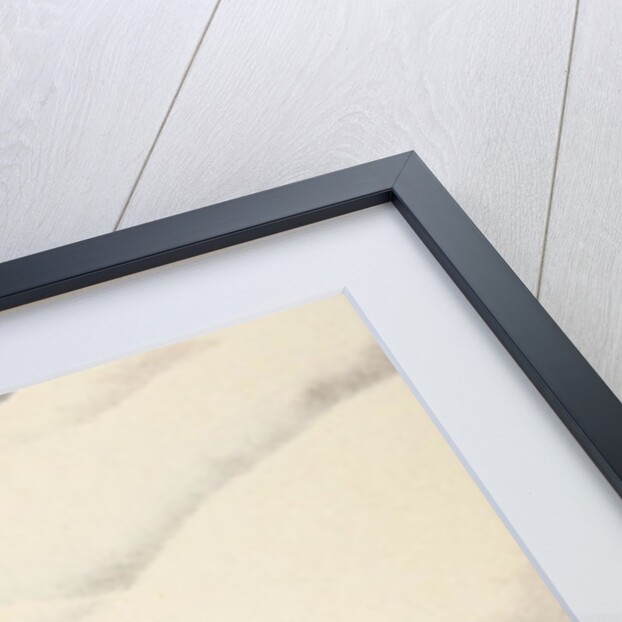 Arriving at the Grand Mulets by School English