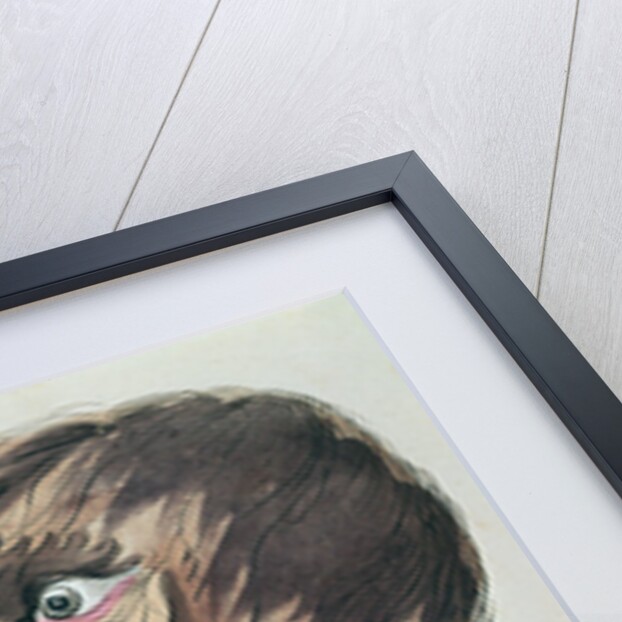 The Spirit Antichrist by Francis (after) Barrett