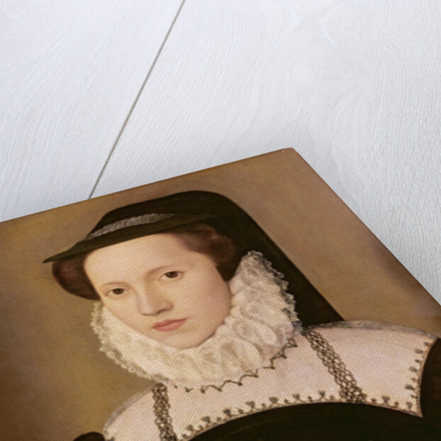 Portrait of Mary Ann Waltham, 1572 by Francois Quesnel