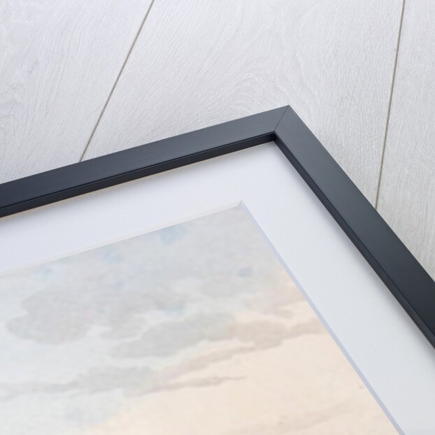 Pleasure Barges, 1803 by John Augustus Atkinson