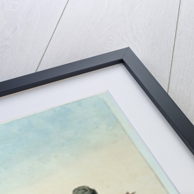 Summer Kibitka with a Courier, 1803 by John Augustus Atkinson