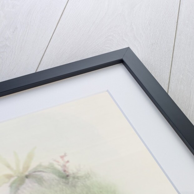 Antelope by Joseph & Smit J. (fl.1870) Wolf