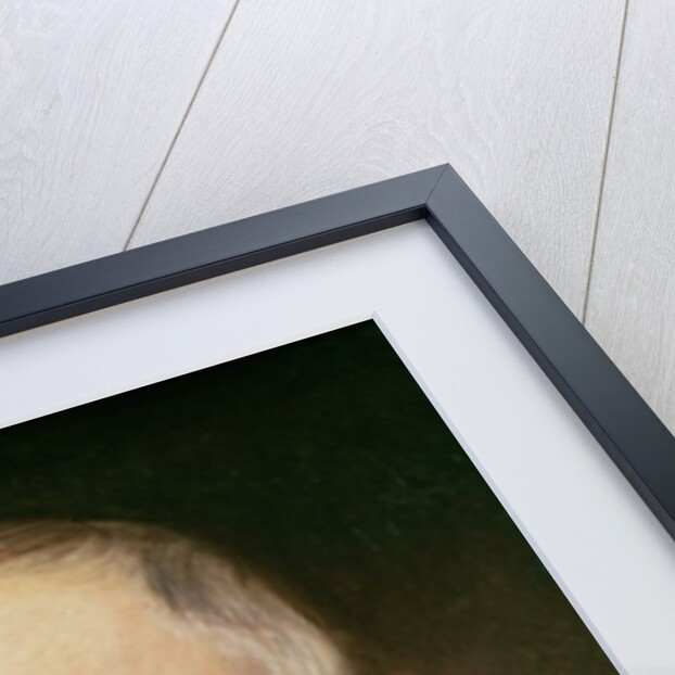 Portrait of Cornelis van der Geest, c.1620 by Anthony van Dyck