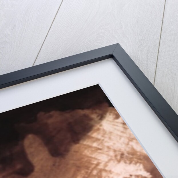 Castle by Victor Hugo