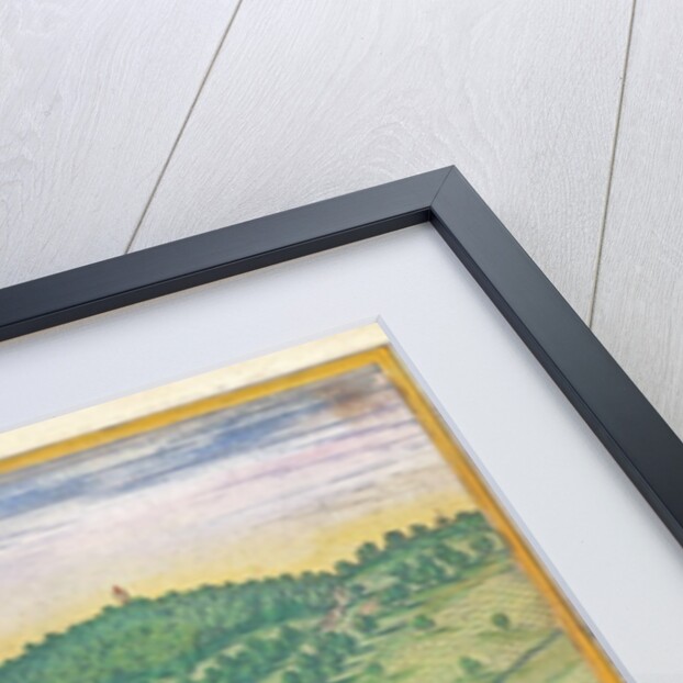 Map of Vienna by German School