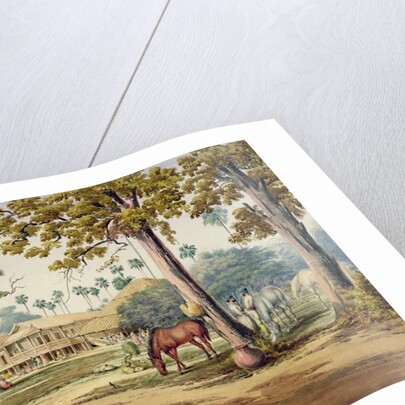 British Residency in India by English School