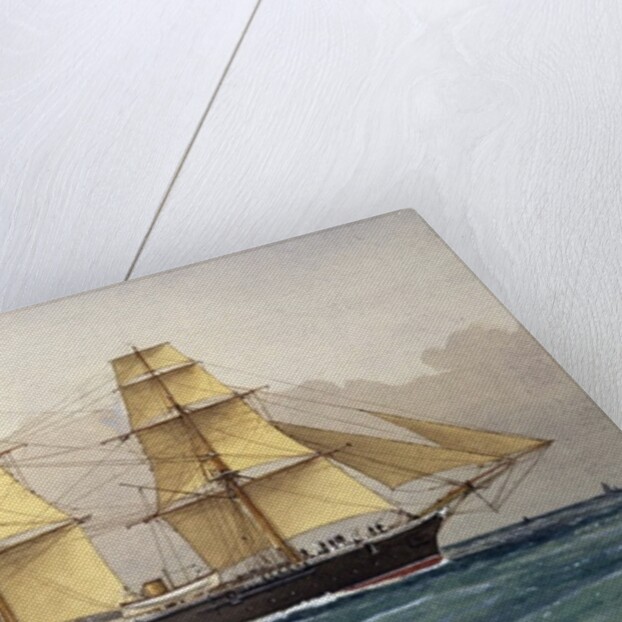 The Wild Swan, 1906 by William Frederick Mitchell