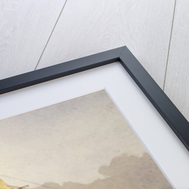 The Wild Swan, 1906 by William Frederick Mitchell