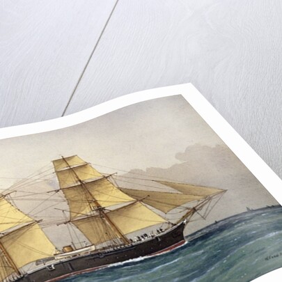 The Wild Swan, 1906 by William Frederick Mitchell