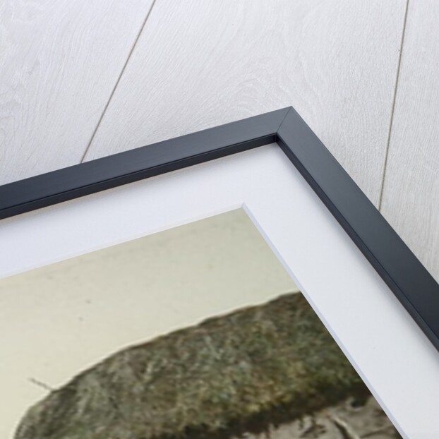 Caucasian Women by English Photographer