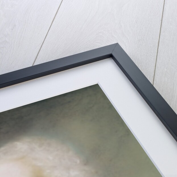 Portrait of a Man by Rosalba Giovanna Carriera