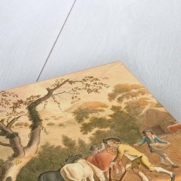 View of ploughing, sowing flax seed and harrowing, 1791 by William Hincks