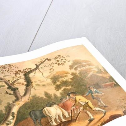 View of ploughing, sowing flax seed and harrowing, 1791 by William Hincks