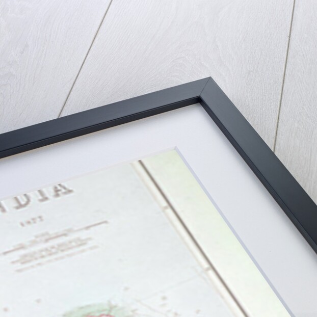 Map of India, 1877 by English School