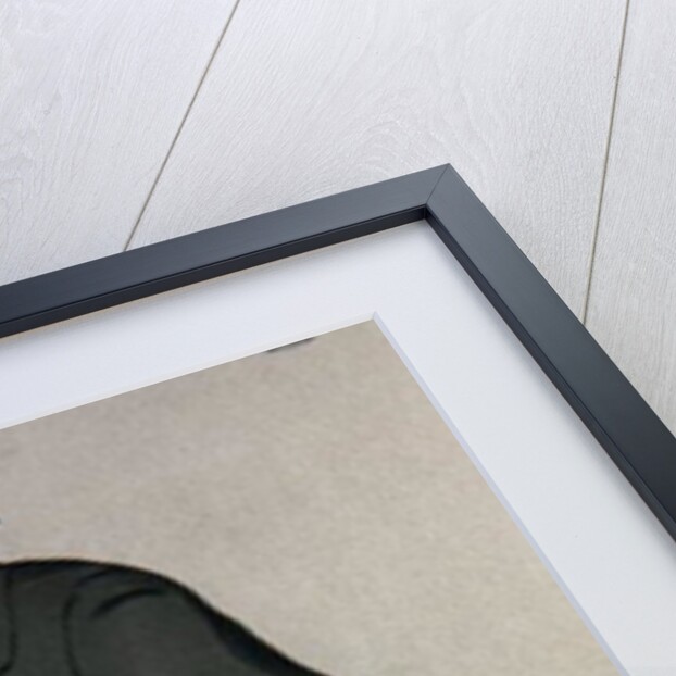 An Irish Lawyer by Leslie Matthew (1851-1922) Ward