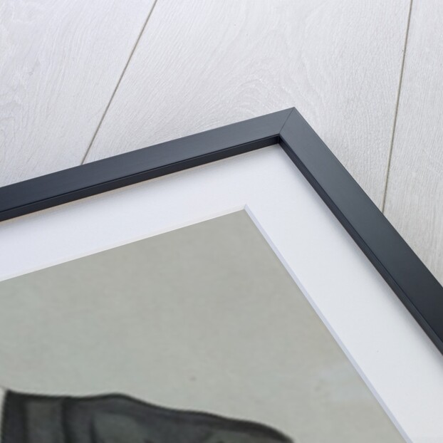 A Sporting Lawyer, form 'Vanity Fair', 17th March 1898 by Leslie Matthew (1851-1922) Ward