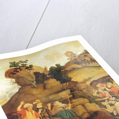 Moses brings forth water out of the rock, c.1500 by Filippo (and workshop) Lippi