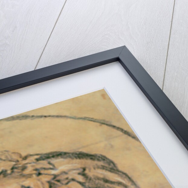 Portrait of Alexander Pope by Godfrey Kneller