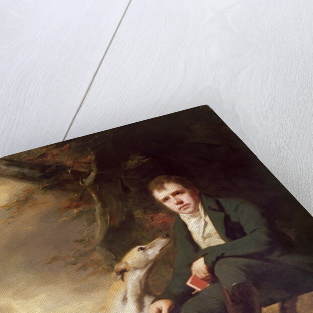Portrait of Sir Walter Scott and his dogs by Henry Raeburn