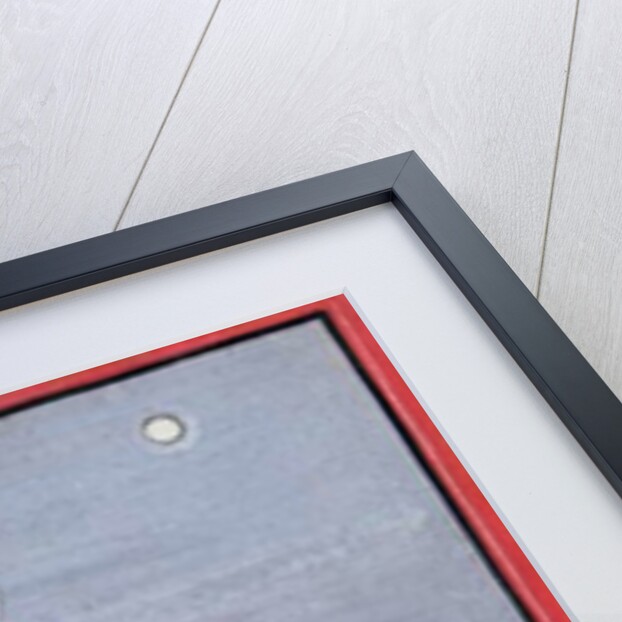 Ladies Watching Pigeons, 1770 by School Bundi