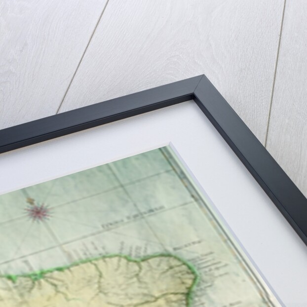 Map of Brazil, 1749 by Portuguese School