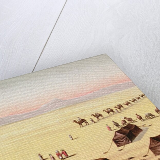 Our Desert Camp by School English