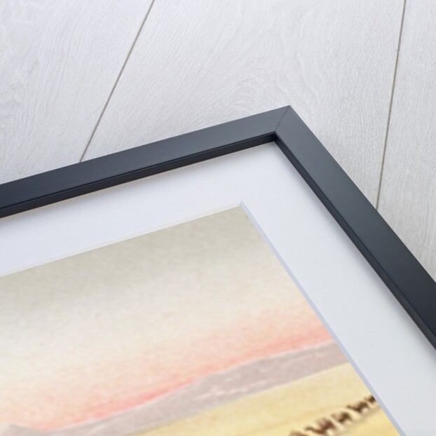 Our Desert Camp by School English