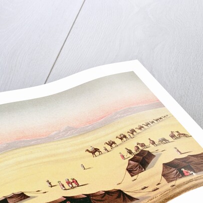 Our Desert Camp by School English