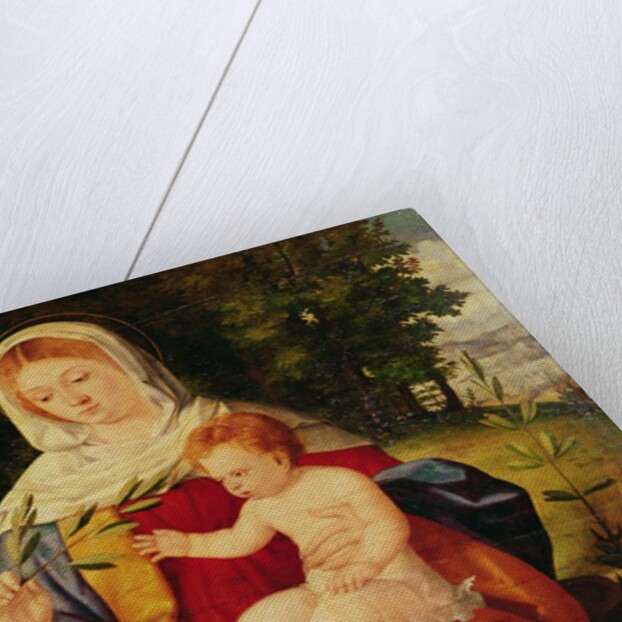The Virgin and Child with a shoot of Olive, c.1515 by Andrea Previtali