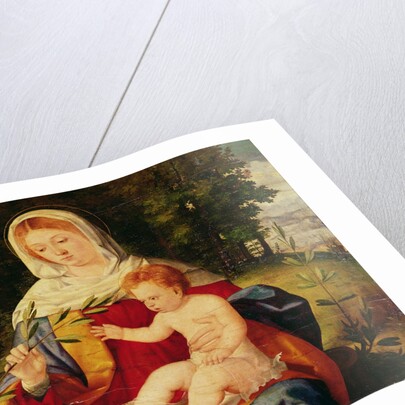 The Virgin and Child with a shoot of Olive, c.1515 by Andrea Previtali