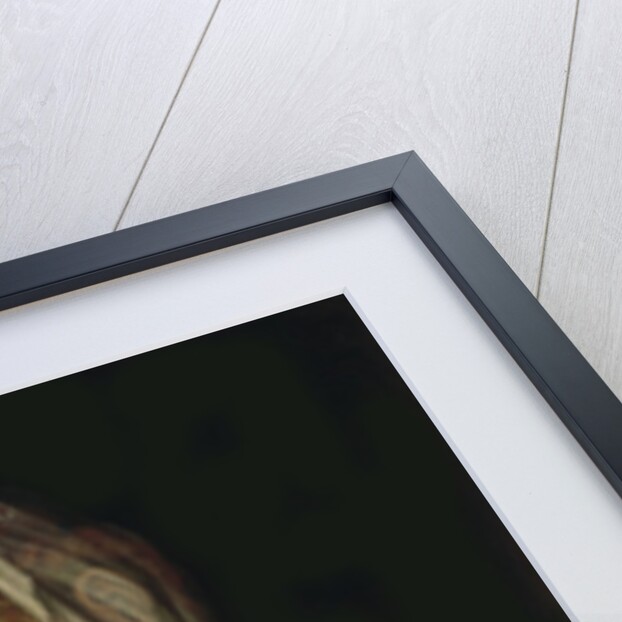 The Virgin and Child, c.1565-70 by Luis de Morales