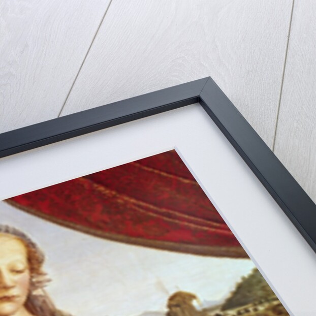 The Virgin and Child with Two Angels, c.1470's by Andrea del Verrocchio