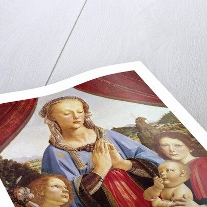The Virgin and Child with Two Angels, c.1470's by Andrea del Verrocchio